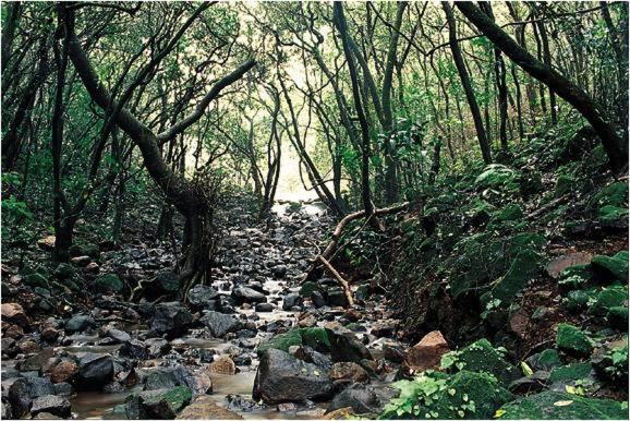 Monsoon Forest Tala  Екстер'єр фото
